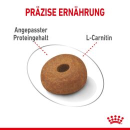 ROYAL CANIN Trockenfutter Light Weight Care Maxi f&uuml;r zu &Uuml;bergewicht neigenden Hunden 3 Kg