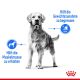 ROYAL CANIN Trockenfutter Light Weight Care Maxi für zu Übergewicht neigenden Hunden 3 Kg