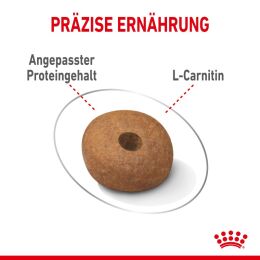 ROYAL CANIN Trockenfutter Light Weight Care Medium f&uuml;r zu &Uuml;bergewicht neigenden Hunden 3 Kg