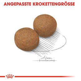 ROYAL CANIN ltere Groe Hunde Trockenfutter Maxi Adult 5+ 4 Kg