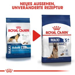 ROYAL CANIN ltere Groe Hunde Trockenfutter Maxi Adult 5+ 4 Kg
