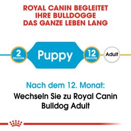 ROYAL CANIN Bulldoggen Trockenfutter Welpen 12 Kg