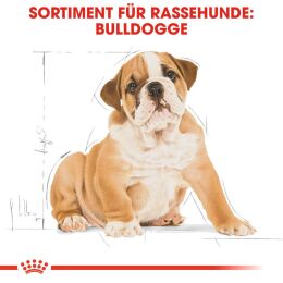 ROYAL CANIN Bulldoggen Trockenfutter Welpen 12 Kg