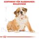ROYAL CANIN Bulldoggen Trockenfutter Welpen 12 Kg