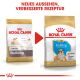 ROYAL CANIN Bulldoggen Trockenfutter Welpen 12 Kg