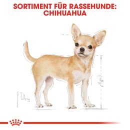 ROYAL CANIN Chihuahua Trockenfutter Adult 3 Kg