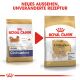 ROYAL CANIN Chihuahua Trockenfutter Adult 3 Kg