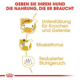 ROYAL CANIN Dackel Trockenfutter Adult 1,5 Kg