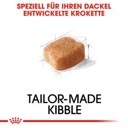 ROYAL CANIN Dackel Trockenfutter Adult 1,5 Kg