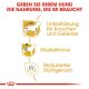 ROYAL CANIN Dackel Trockenfutter Adult 1,5 Kg