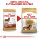 ROYAL CANIN Dackel Trockenfutter Adult 1,5 Kg