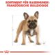 ROYAL CANIN Französische Bulldoggen Trockenfutter Adult 9 Kg