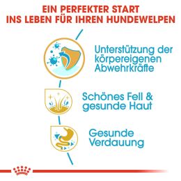 ROYAL CANIN Golden Retriever Trockenfutter Welpen 12 Kg