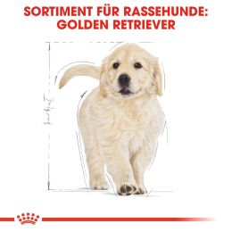 ROYAL CANIN Golden Retriever Trockenfutter Welpen 12 Kg