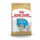 ROYAL CANIN Golden Retriever Trockenfutter Welpen 12 Kg