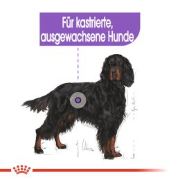 ROYAL CANIN Kastrierte Gro&szlig;e Hunde Trockenfutter Sterilised Maxi 12 Kg