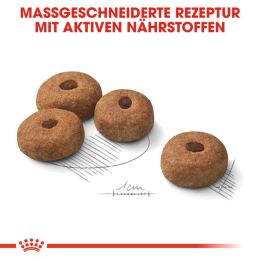 ROYAL CANIN Kastrierte Gro&szlig;e Hunde Trockenfutter Sterilised Maxi 12 Kg