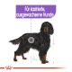 ROYAL CANIN Kastrierte Große Hunde Trockenfutter Sterilised Maxi 12 Kg