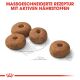 ROYAL CANIN Kastrierte Große Hunde Trockenfutter Sterilised Maxi 12 Kg