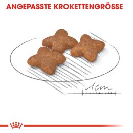 ROYAL CANIN Kleine Hunde Trockenfutter Mini Adult 8 Kg