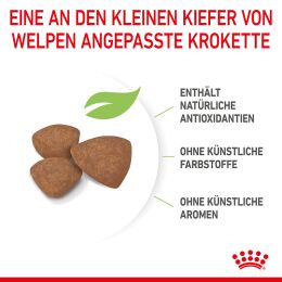 ROYAL CANIN Kleine Hunde Trockenfutter Mini Welpen 8 Kg