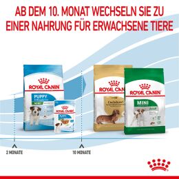 ROYAL CANIN Kleine Hunde Trockenfutter Mini Welpen 8 Kg