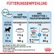 ROYAL CANIN Kleine Hunde Trockenfutter Mini Welpen 8 Kg