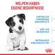 ROYAL CANIN Kleine Hunde Trockenfutter Mini Welpen 8 Kg