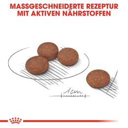 ROYAL CANIN Kleine Hunde Trockenfutter Digestive Care Mini f&uuml;r empfindliche Verdauung 8 Kg