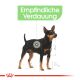ROYAL CANIN Kleine Hunde Trockenfutter Digestive Care Mini für empfindliche Verdauung 8 Kg