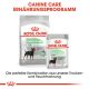 ROYAL CANIN Kleine Hunde Trockenfutter Digestive Care Mini für empfindliche Verdauung 8 Kg