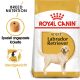 ROYAL CANIN Labrador Retriever Trockenfutter Adult 3 Kg