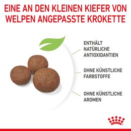 ROYAL CANIN Mittelgro&szlig;e Hunde Trockenfutter Welpen 15 Kg