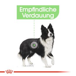 ROYAL CANIN Mittelgro&szlig;e Hunde Trockenfutter Digestive Care Medium f&uuml;r empfindliche Verdauung 12 Kg