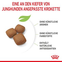 ROYAL CANIN Sehr Gro&szlig;e Hunde Trockenfutter Giant Junior 15 Kg