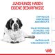 ROYAL CANIN Sehr Große Hunde Trockenfutter Giant Junior 15 Kg