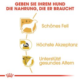 ROYAL CANIN Yorkshire Terrier Trockenfutter Adult 3 Kg