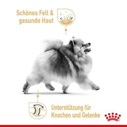 ROYAL CANIN Zwergspitze Trockenfutter Adult 1,5 Kg