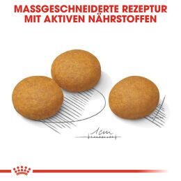 ROYAL CANIN Gro&szlig;e Hunde Trockenfutter Dermacomfort Maxi f&uuml;r empfindliche Haut 3 Kg
