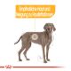 ROYAL CANIN Große Hunde Trockenfutter Dermacomfort Maxi für empfindliche Haut 3 Kg