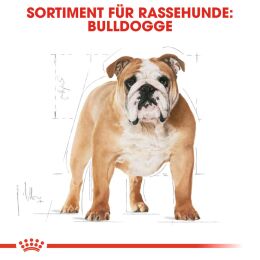ROYAL CANIN Bulldoggen Trockenfutter Adult 3 Kg