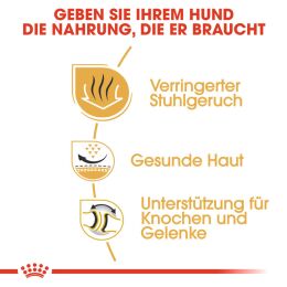 ROYAL CANIN Bulldoggen Trockenfutter Adult 3 Kg