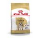 ROYAL CANIN Bulldoggen Trockenfutter Adult 3 Kg
