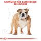 ROYAL CANIN Bulldoggen Trockenfutter Adult 3 Kg