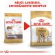 ROYAL CANIN Bulldoggen Trockenfutter Adult 3 Kg