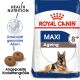 ROYAL CANIN Ältere Große Hunde Trockenfutter Maxi Ageing 8+ 15 Kg