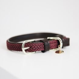 Kentucky Dogwear Hundehalsband gekn&uuml;pftes Nylon