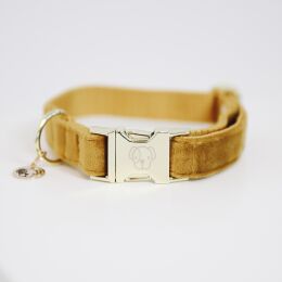 Kentucky Dogwear Hundehalsband Velvet