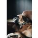 Kentucky Dogwear Hundehalsband geknüpftes Nylon Grau M/L 58cm
