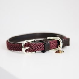 Kentucky Dogwear Hundehalsband gekn&uuml;pftes Nylon Bordeaux XS 37cm